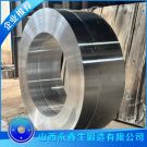 環(huán)星輪鍛件（環(huán)） 