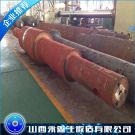 大型齒輪軸毛坯鍛件